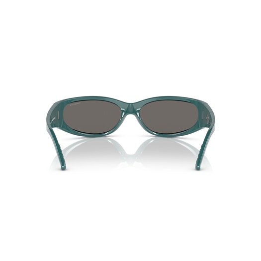ARNETTE AN4302 - 28176G CATFISH