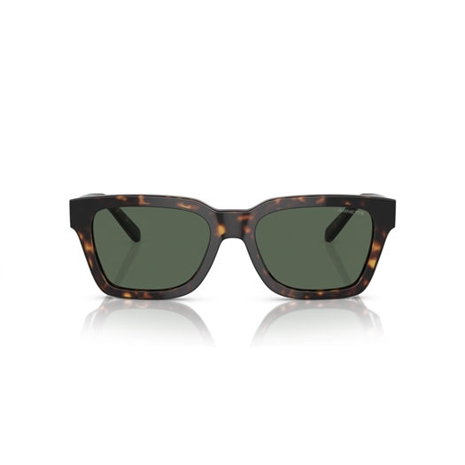 ARNETTE AN4334 - 122271 COLD HEART 2.0