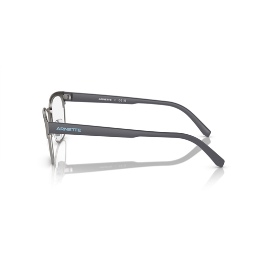 ARNETTE AN6138 - 738 WATERLY