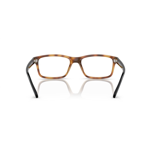 ARNETTE AN7237U - 2770 A-VOLUTION