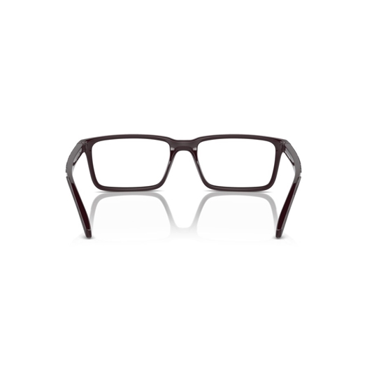 ARNETTE AN7253 - 2941 KOKO