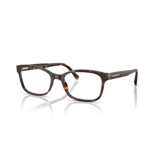 BURBERRY BE2201 - 3002