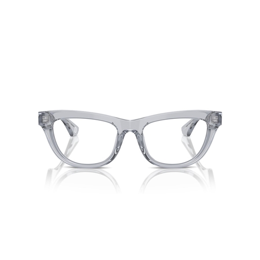 BURBERRY BE2406U - 3825