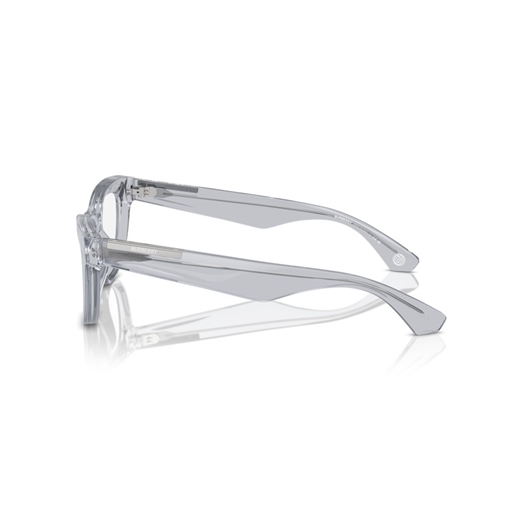BURBERRY BE2406U - 3825