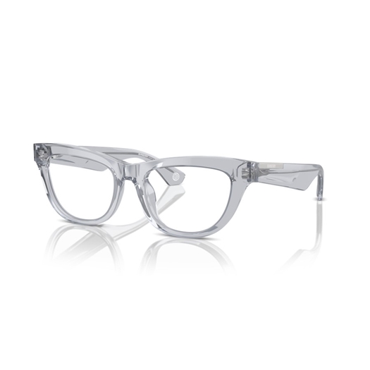 BURBERRY BE2406U - 3825