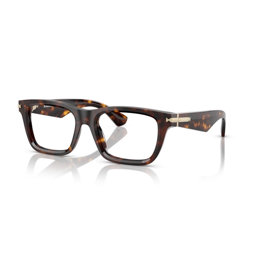 BURBERRY BE2419 - 3002