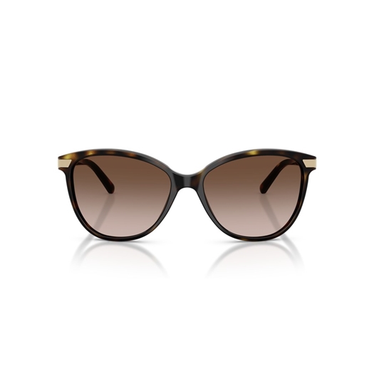 BURBERRY BE4216 - 300213