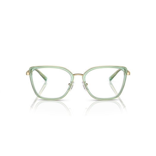 EMPORIO ARMANI EA1152 - 3363