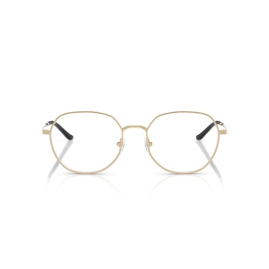 EMPORIO ARMANI EA1174D - 3013