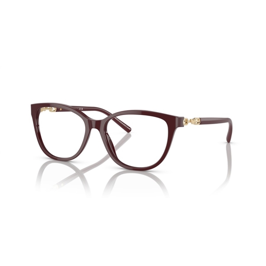 EMPORIO ARMANI EA3190 - 5576