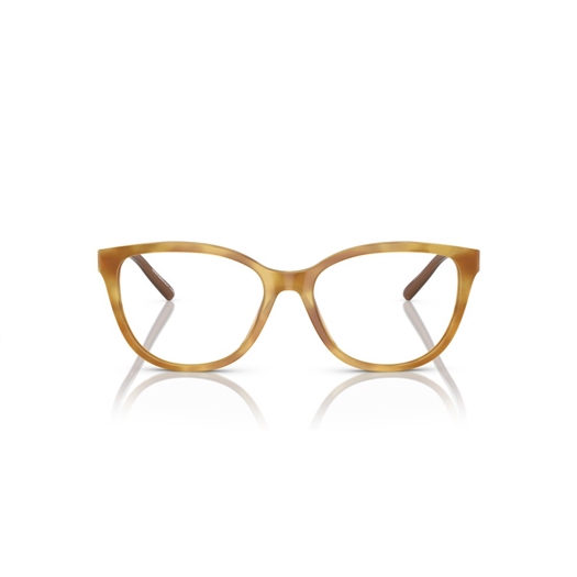 EMPORIO ARMANI EA3190 - 6115