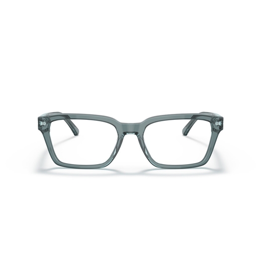 EMPORIO ARMANI EA3192 - 5911