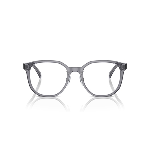 EMPORIO ARMANI EA3241D - 5029