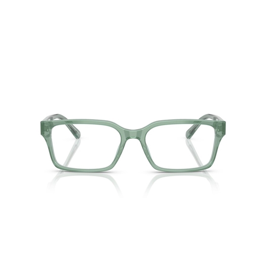 EMPORIO ARMANI EA3244 - 6176