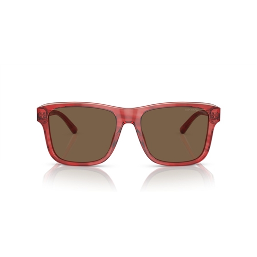 EMPORIO ARMANI EA4208 - 605373