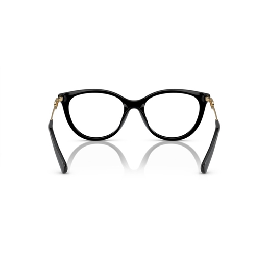 EMPORIO ARMANI EA4213U - 50171W
