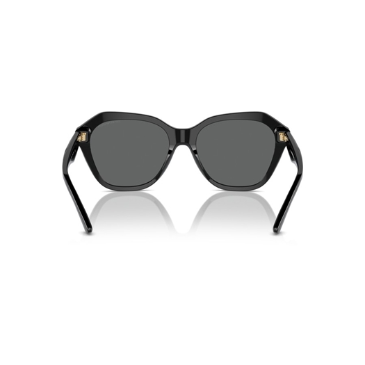 EMPORIO ARMANI EA4221 - 501787