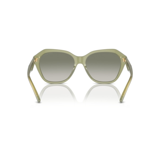 EMPORIO ARMANI EA4221 - 61168E