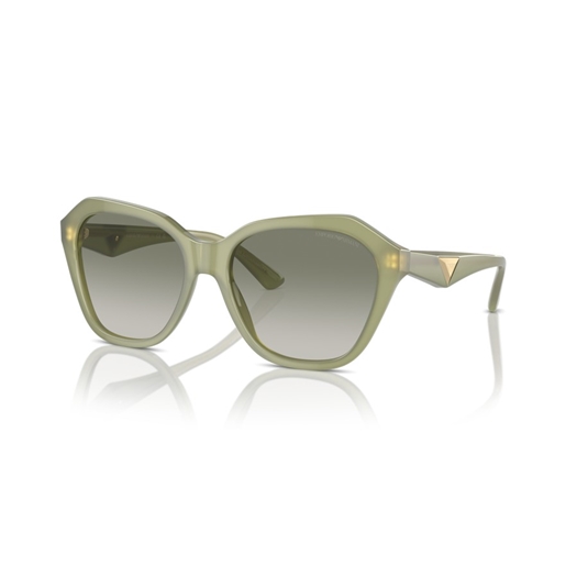 EMPORIO ARMANI EA4221 - 61168E