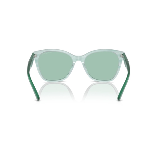 EMPORIO ARMANI EA4222U - 611271