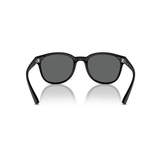 EMPORIO ARMANI EA4225U - 500187