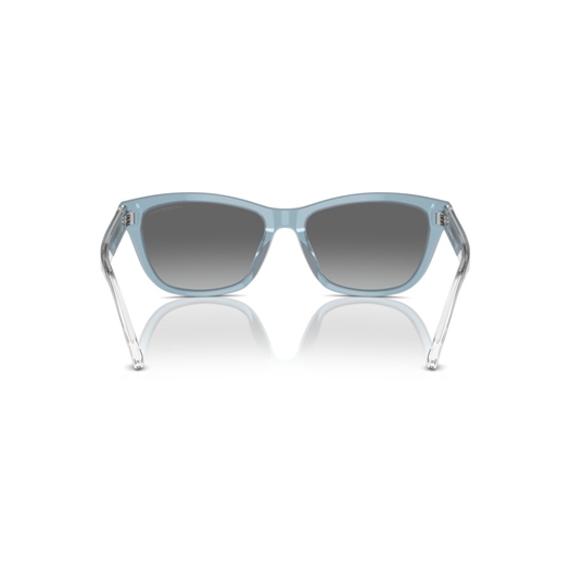 EMPORIO ARMANI EA4227U - 609611