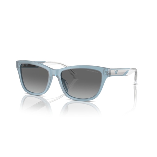 EMPORIO ARMANI EA4227U - 609611