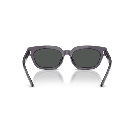 EMPORIO ARMANI EA4233U - 610687