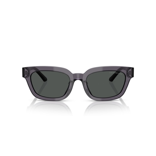 EMPORIO ARMANI EA4233U - 610687