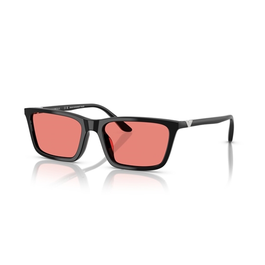 EMPORIO ARMANI EA4239U - 501784