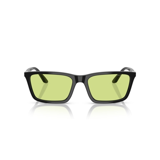 EMPORIO ARMANI EA4239U - 5017/2