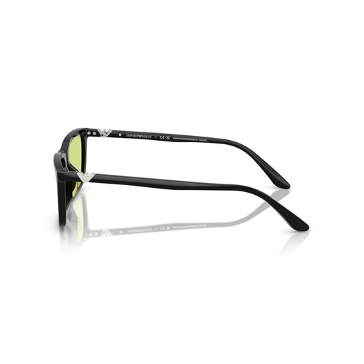 EMPORIO ARMANI EA4239U - 5017/2