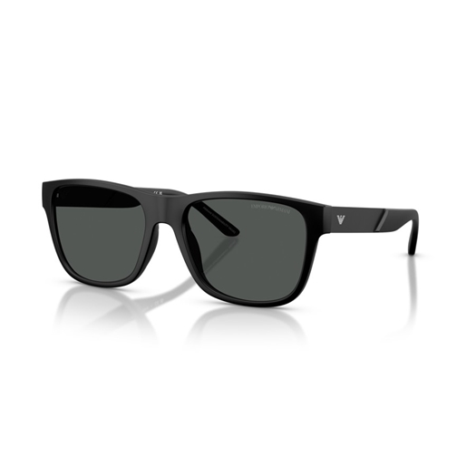 EMPORIO ARMANI EA4243 - 5001T3