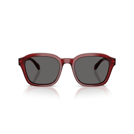 EMPORIO ARMANI EA4245U - 624887
