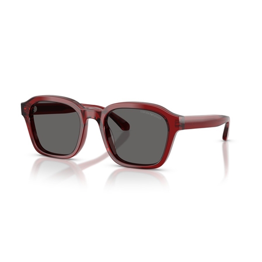 EMPORIO ARMANI EA4245U - 624887