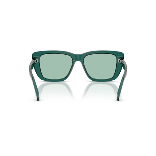 EMPORIO ARMANI EA4246U - 6252/2