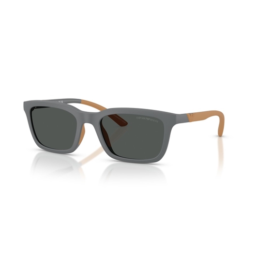 EMPORIO ARMANI EA4249U - 626187