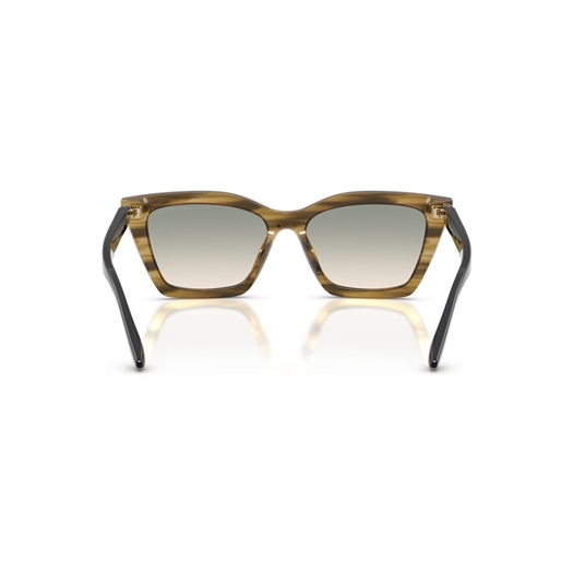 EMPORIO ARMANI EA4250U - 62672C