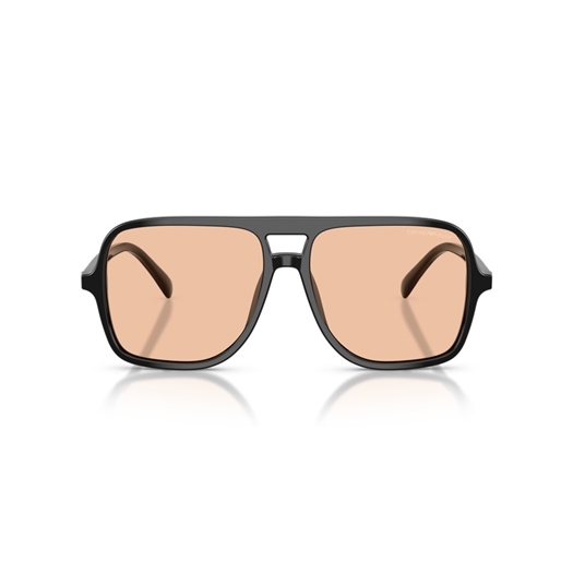 EMPORIO ARMANI EA4252U - 501793
