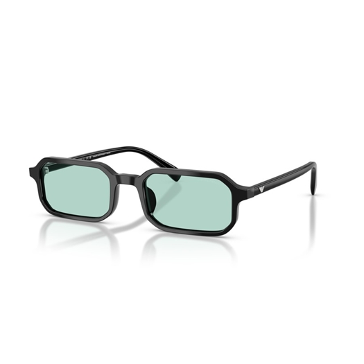 EMPORIO ARMANI EA4253U - 501765