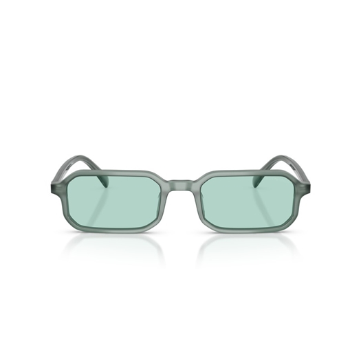 EMPORIO ARMANI EA4253U - 627065