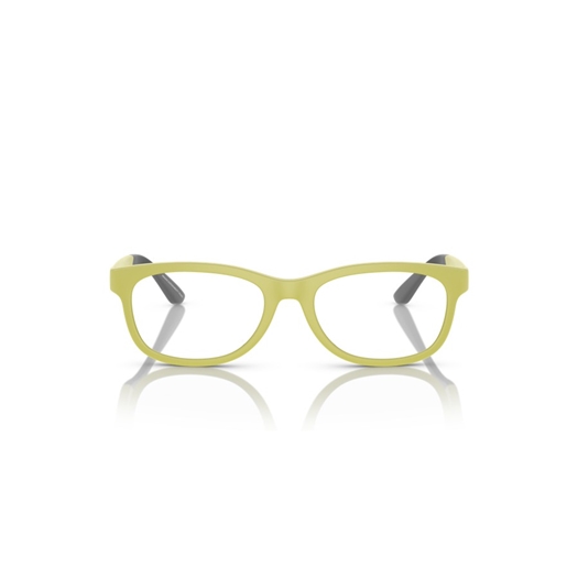 EMPORIO ARMANI EK3001 - 6010