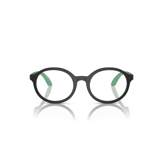 EMPORIO ARMANI EK3005 - 5001
