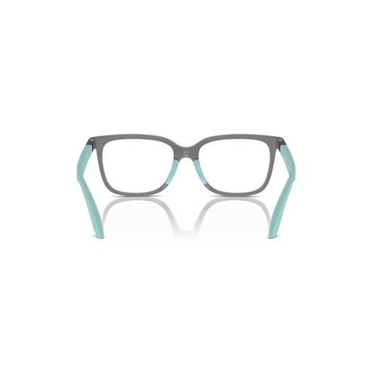 EMPORIO ARMANI EK3006 - 6134