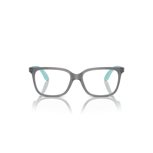 EMPORIO ARMANI EK3006 - 6134