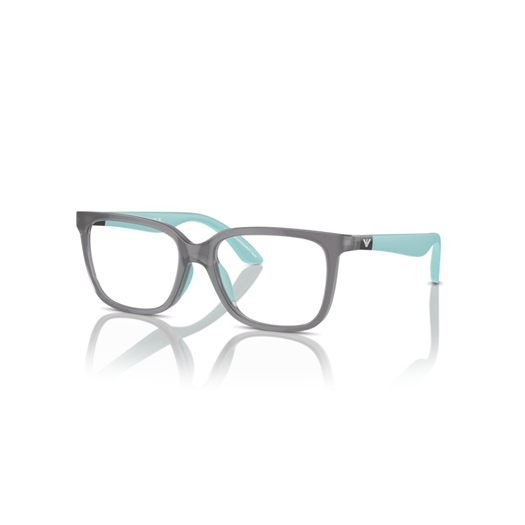 EMPORIO ARMANI EK3006 - 6134
