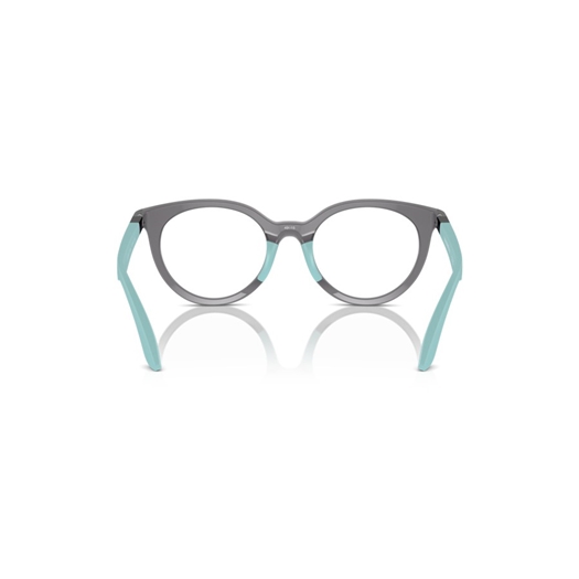 EMPORIO ARMANI EK3007 - 6134