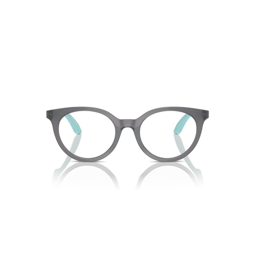 EMPORIO ARMANI EK3007 - 6134