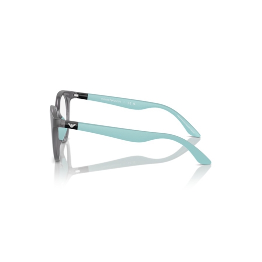 EMPORIO ARMANI EK3007 - 6134