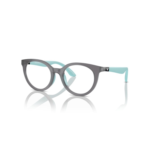 EMPORIO ARMANI EK3007 - 6134